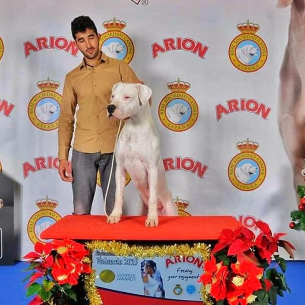 Alberto Sanz - Adiestrador canino